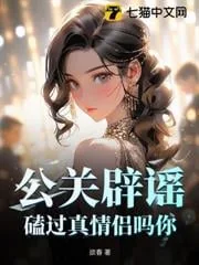 《公关辟谣？！磕过真情侣吗你？》小说封面