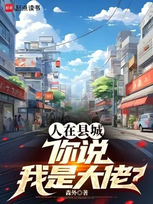 《人在县城，你说我是大佬？》小说封面