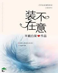 《装不在意》小说封面
