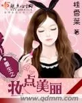 《重生之妆点美丽》小说封面