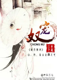 《宠奴》小说封面