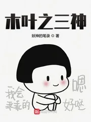 《木叶之三神》小说封面