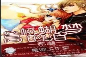 《高校的蝴泪梦》小说封面
