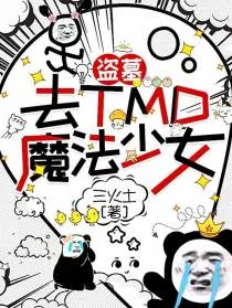 《盗墓:去TMD的魔法少女!》小说封面
