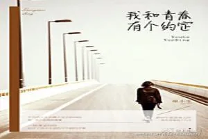 《我和青春有个约定》小说封面