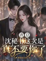 《渣总，沈秘书这次是真不要你了》小说封面
