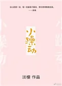 《小躁动》小说封面