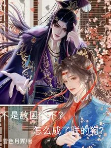 《不是敌国陛下？怎么成了朕的狗？》小说封面