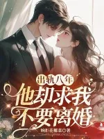 《出轨八年，他却求我不要离婚》小说封面