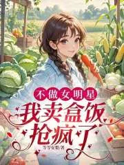 《不做女明星，我卖盒饭抢疯了》小说封面