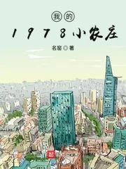 《我的1978小农庄》小说封面