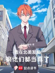 《我在北美发癫，癫佬们都当真了》小说封面