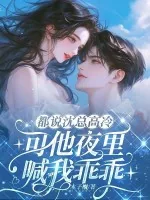 《都说沈总高冷，可他夜里喊我乖乖》小说封面