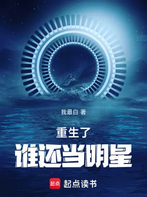《重生了谁还当明星》小说封面