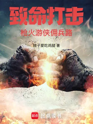 《致命打击：枪火游侠佣兵路》小说封面