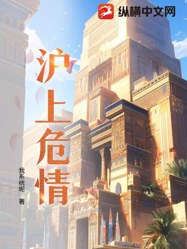 《沪上危情》小说封面