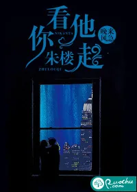《你看他朱楼起》小说封面