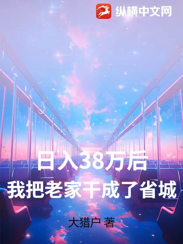 《日入38万后，我把老家干成了省城》小说封面