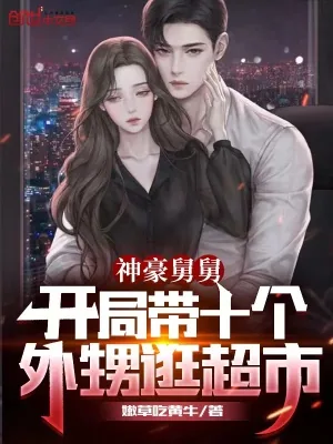 《神豪舅舅：开局带十个外甥逛超市》小说封面