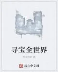 《寻宝全世界》小说封面