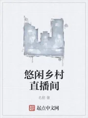 《悠闲乡村直播间》小说封面