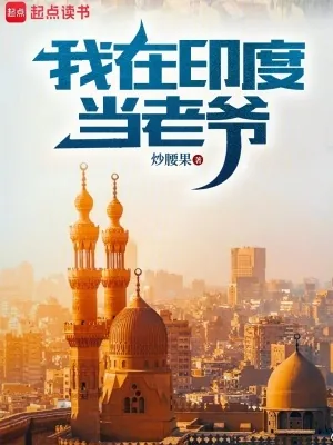 《我在印度当老爷》小说封面