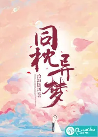 《同枕异梦》小说封面