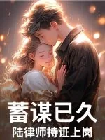 《蓄谋已久，陆律师持证上岗》小说封面