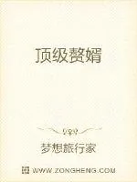 《顶级赘婿》小说封面
