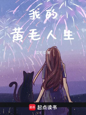 《我的黄毛人生》小说封面