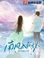 《南风入我怀》小说封面