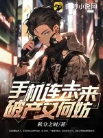 《手机连未来，破产又何妨》小说封面