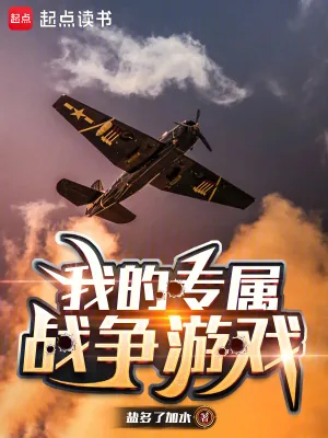 《我的专属战争游戏》小说封面