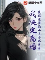 《发现老婆的人流手术单后，我决定离婚》小说封面
