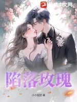 《陷落玫瑰》小说封面