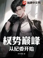 《权势巅峰：从纪委开始》小说封面