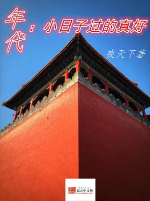 《年代：小日子过的真好》小说封面