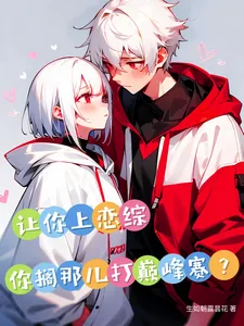 《让你上恋综，你搁那儿打巅峰赛？》小说封面