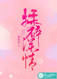 《揉碎深情》小说封面