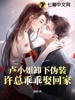 《卢小姐卸下伪装，许总乖乖娶回家》小说封面