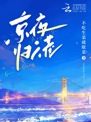 《京夜归港》小说封面