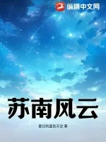 《苏南风云》小说封面