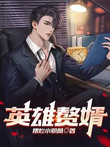 《英雄赘婿》小说封面