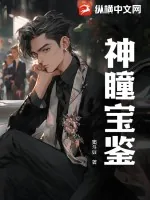 《神瞳宝鉴》小说封面