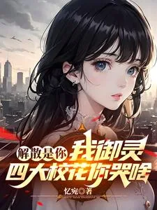 《解散是你，我御灵四大校花你哭啥》小说封面