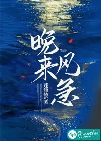 《晚来风急》小说封面
