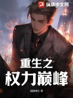 《重生之权力巅峰》小说封面