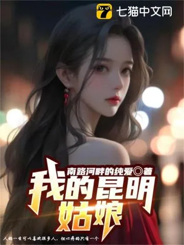 《我的昆明姑娘》小说封面