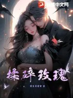 《揉碎玫瑰》小说封面