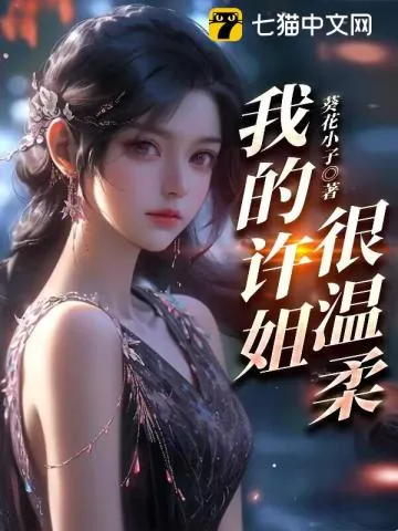 《我的许姐很温柔》小说封面